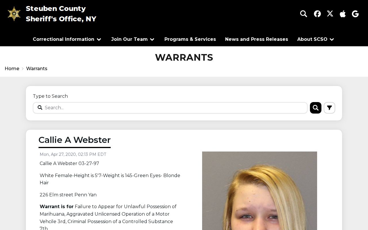 Steuben County Sheriff official warrant search interface